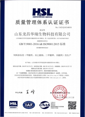 ISO9001質(zhì)量體系管理認(rèn)證證書