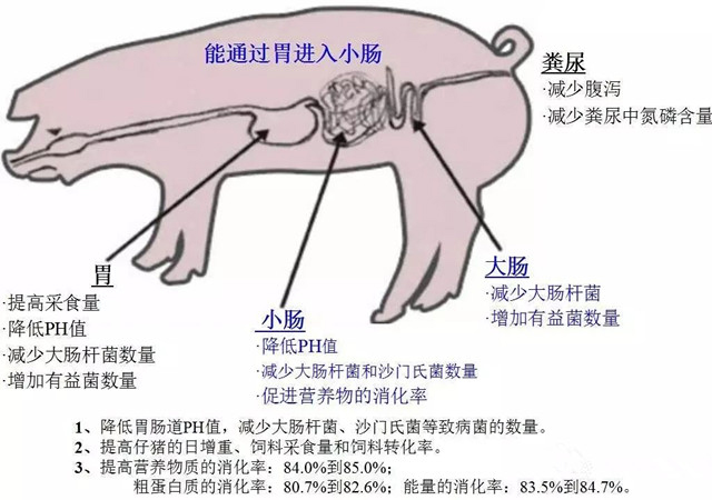 二甲酸鉀