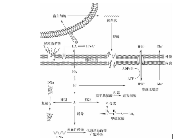 微信圖片_20200317093523.png