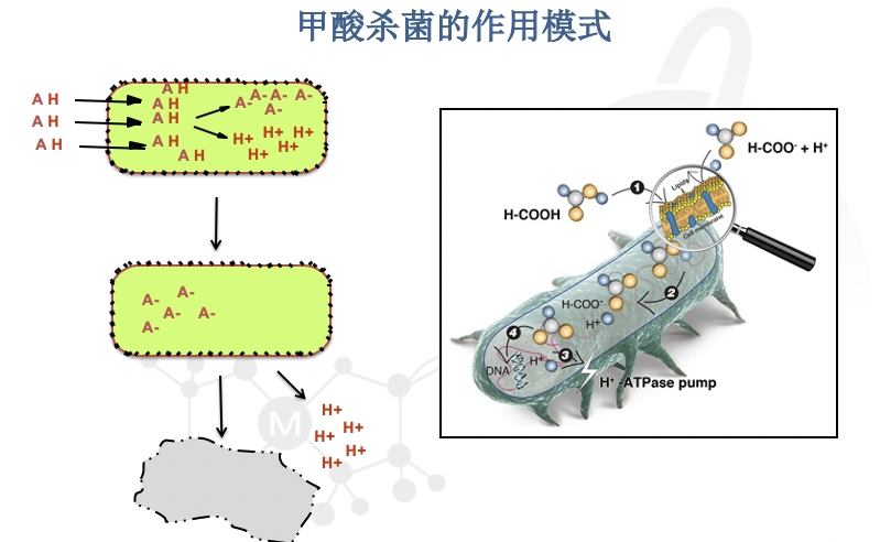 微信圖片_20200608093722.png